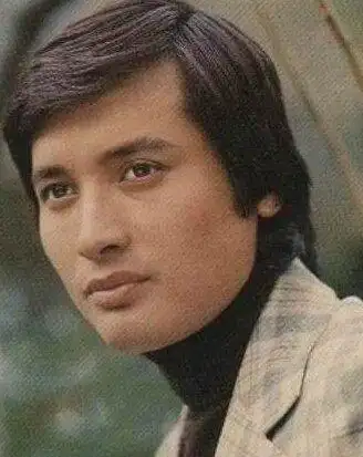 1972年之后秦祥林到发展,与林青霞,秦汉,林凤娇等合作了很多部