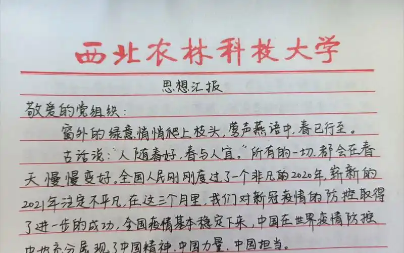 思想汇报2021第一季度
