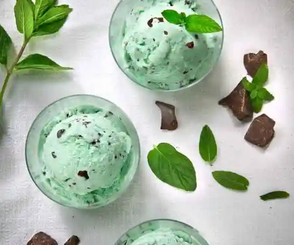 mint chocolate chip ice cream