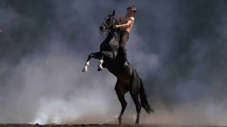 汗血宝马价格不为人知的汗血宝马