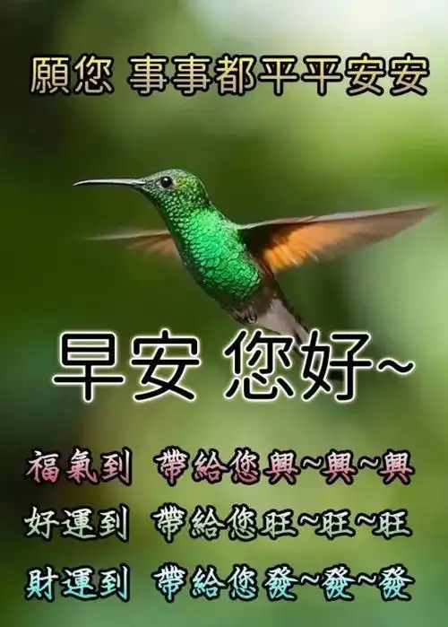最新创意好看的的亲人朋友早上好免打字图片 暖心的早安问候祝福语