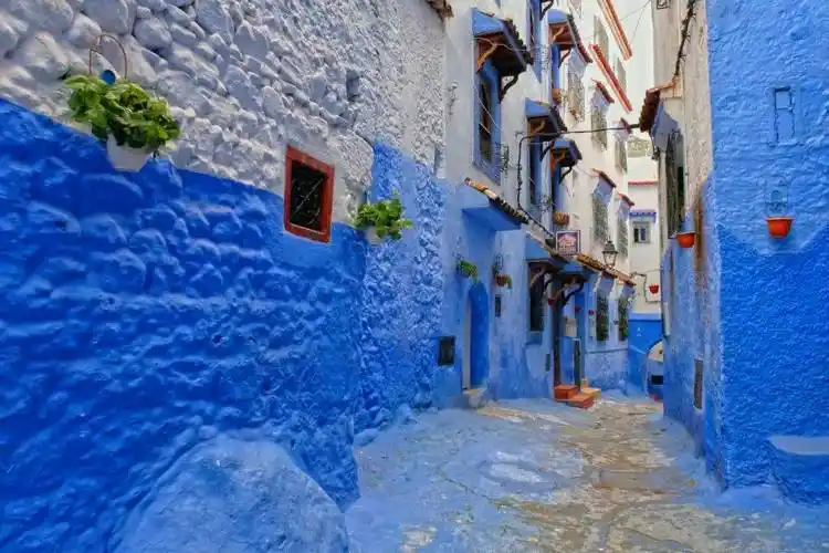 免签摩洛哥x突尼斯走进多彩的蓝色王国海滩沙漠和古老的文明都集中