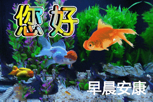 亲爱的早上好啊,送你清新的问候,温馨的祝福,清晨,美好的开始,祝你