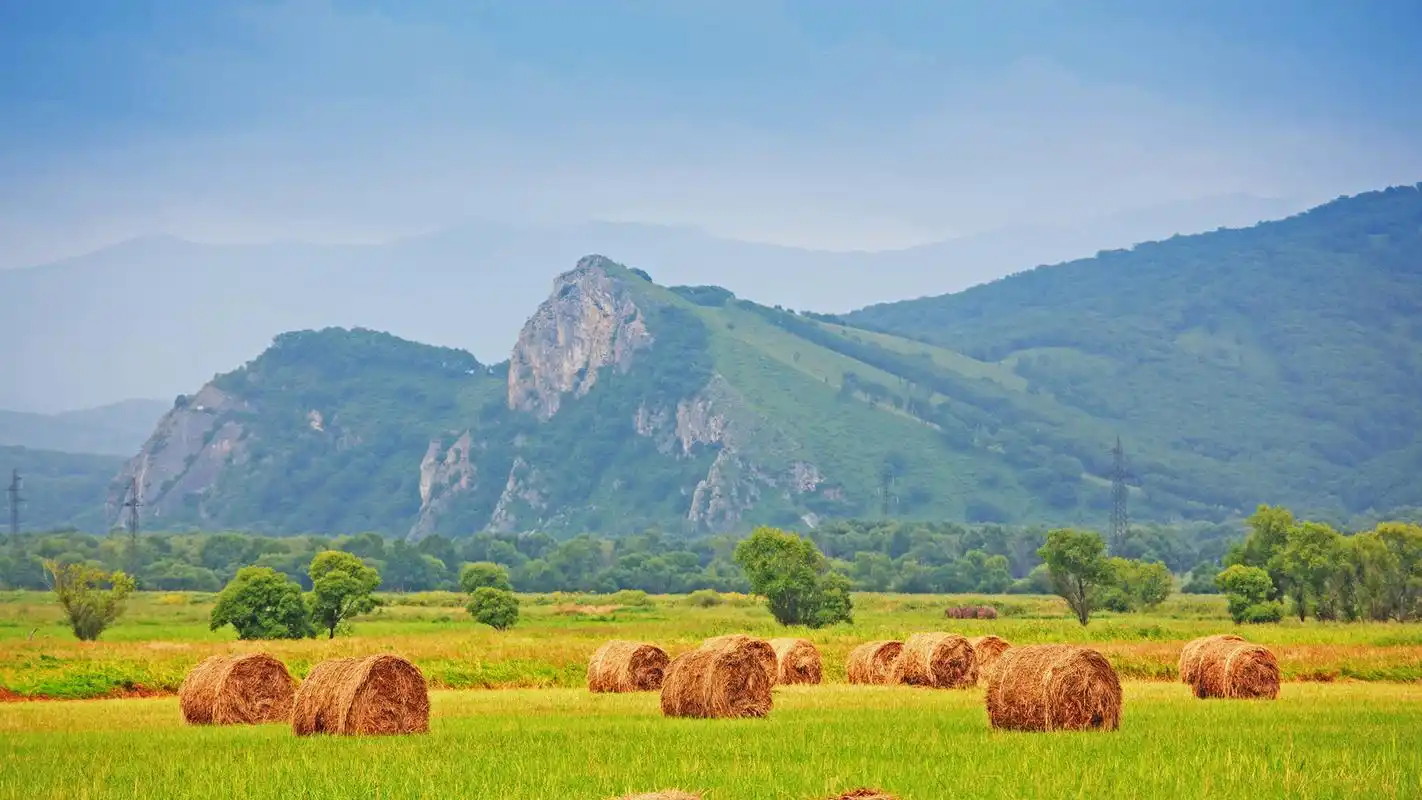 金色麦田唯美好看的秋天风景电脑桌面壁纸