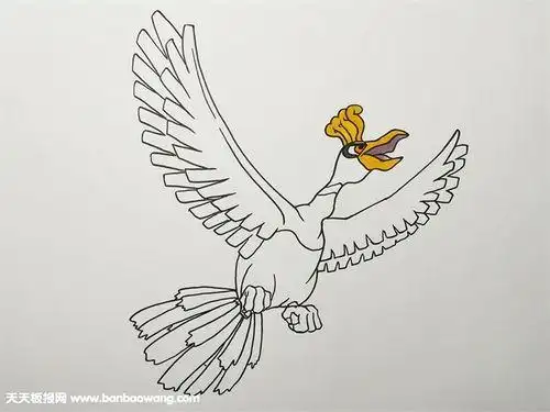 素描卡通简笔画凤凰简笔画图片示例 凤凰的资料 凤凰亦作凤皇古代传说