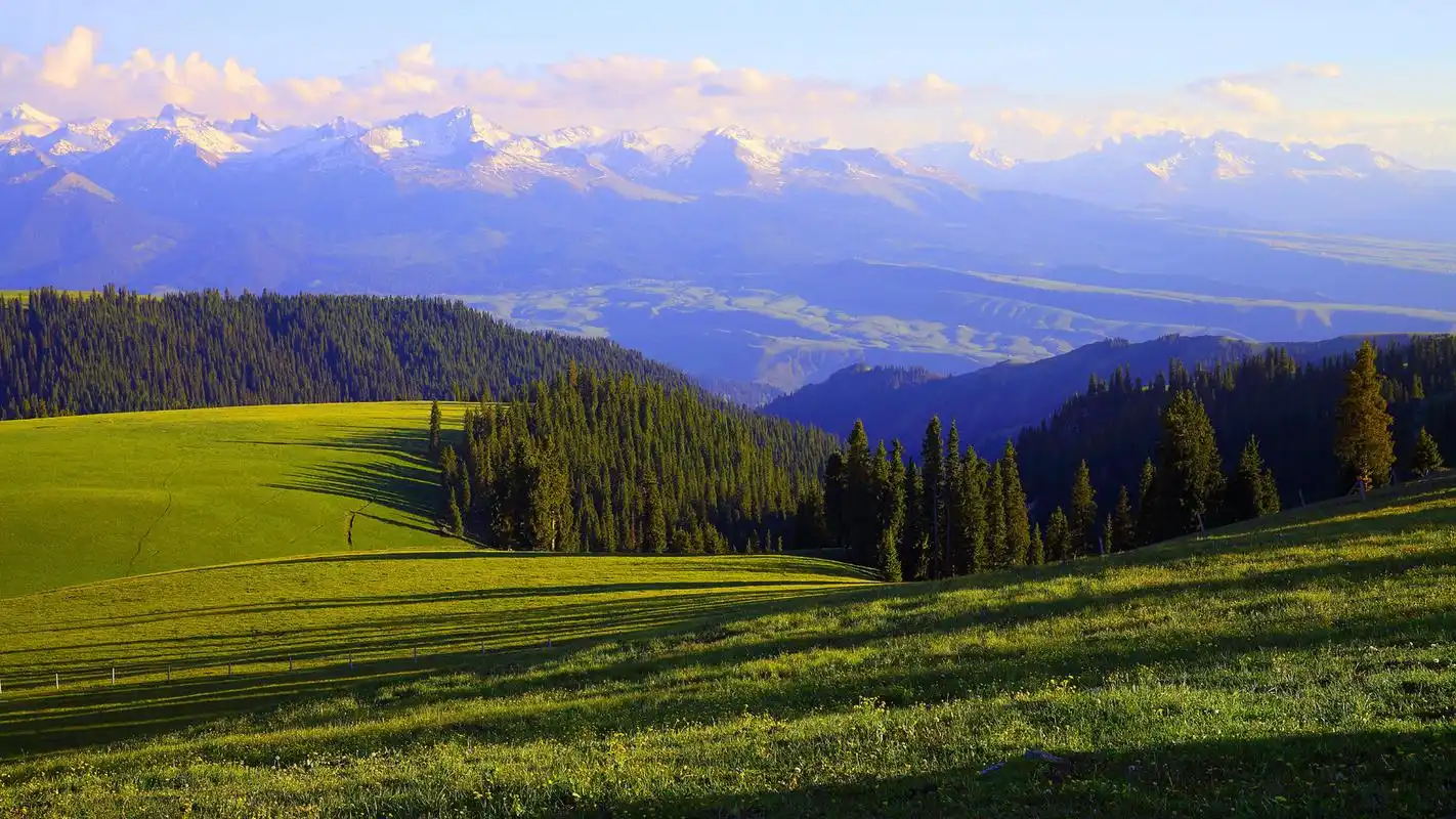 唯美清新草原护眼桌面壁纸高清大图预览1920x1080_风景壁纸下载_美桌