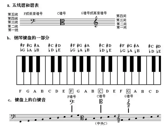 五线谱对照表【相关词_五线谱对照表高清】