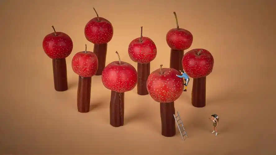 商业摄影 创意摄影 山楂