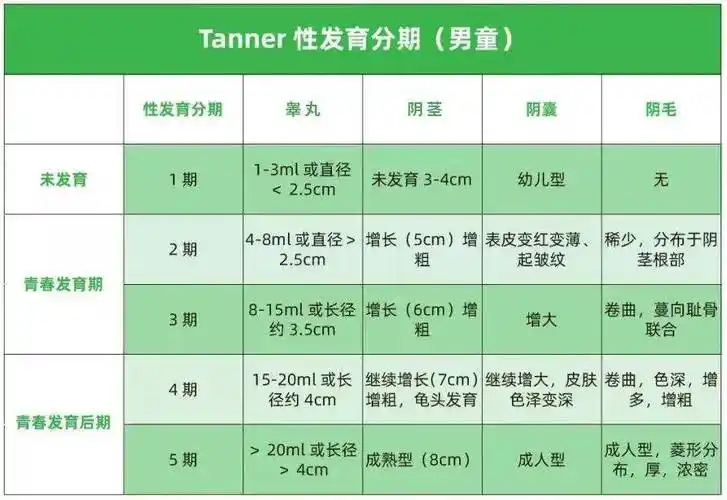 发育过程通常5年左右.3.最后是声音低沉,遗精,腋毛和胡须发育.2.