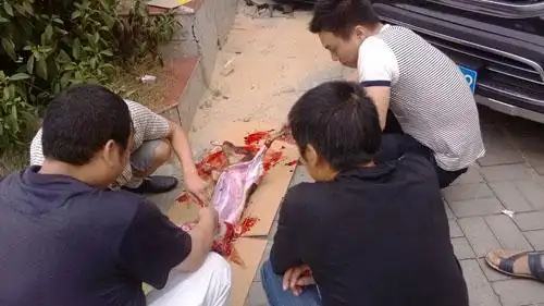 四男子当街宰杀土狗 网友大呼太残忍
