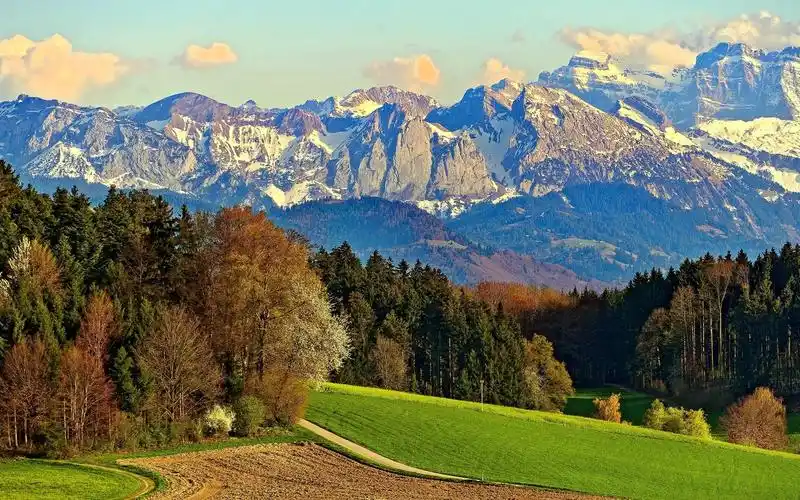 2021年农历三月十四结婚行吗?结婚意味着什么?