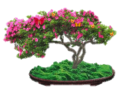 400_300gif 动态图 动图