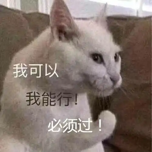 (猫咪为自己打气加油)_猫咪_打气_能行_加油_必须表情