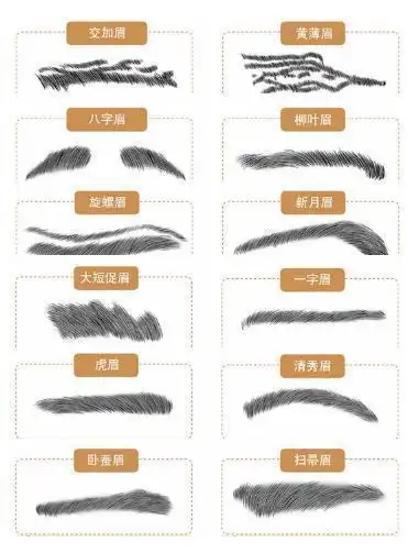 男生的眉型都有哪些?