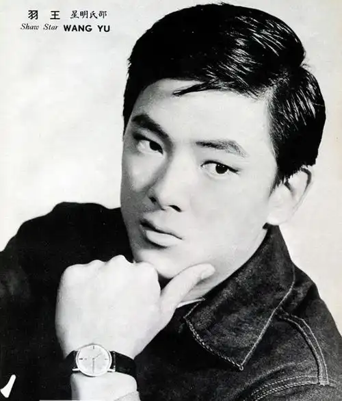 2013年,台湾导演钟孟宏拍摄电影《失魂》,他特意邀请王羽出山,尽管