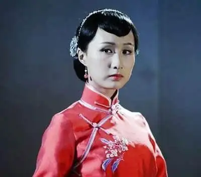 曾主演过中国第一部真人版电视剧《金甲战士》介绍的女主翟煦飞