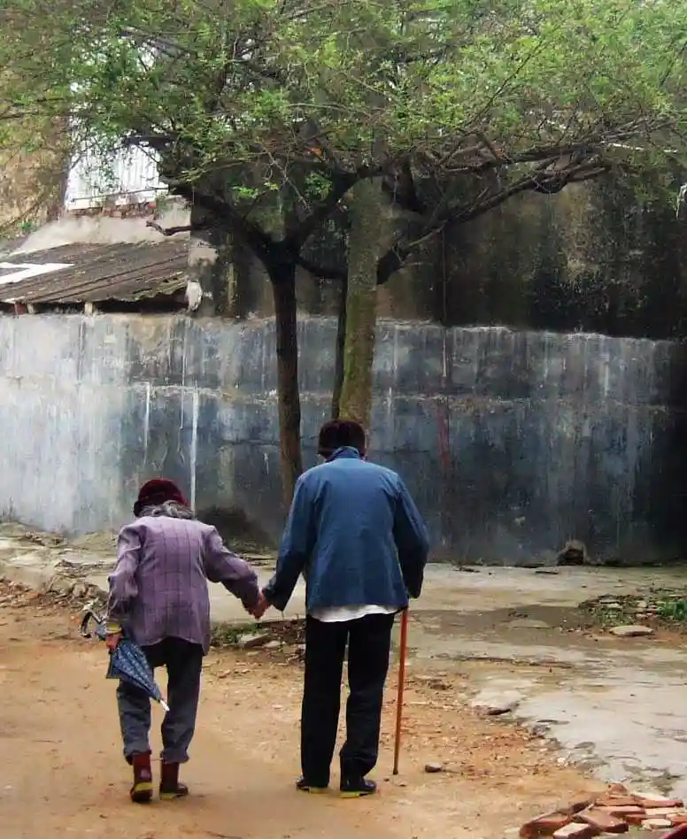 相依为命的牵手(图文)