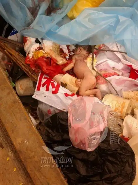 有个刚出生的婴儿被父母扔在垃圾堆里.够狠心的啊!