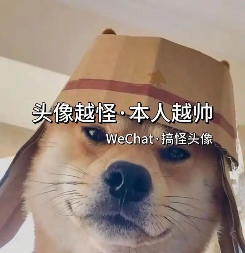 头像越怪本人越帅 #个性头像 #搞怪头像 #一起换头像 - 抖音