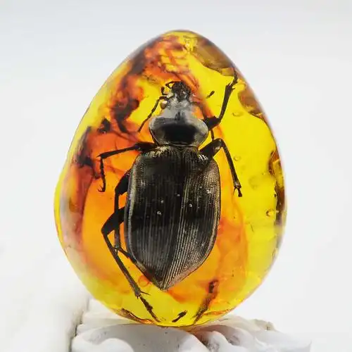 琥珀真虫蜜蜡吊坠 昆虫标本时尚创意新奇水滴形琥珀挂件坠子配件