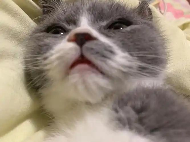 绝望的眼神表情包