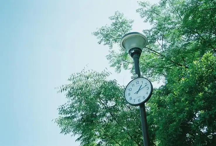 配图-堆糖,美好生活研究所