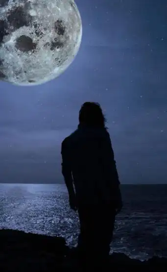 夜晚孤寂落寞的背影图片