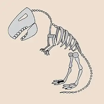 霸王龙,化石,骨骼,矢量