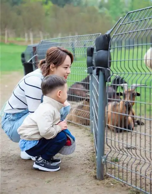 买超携妻儿出游狂撒甜蜜狗粮张嘉倪单手抱2岁儿子妈妈力爆棚