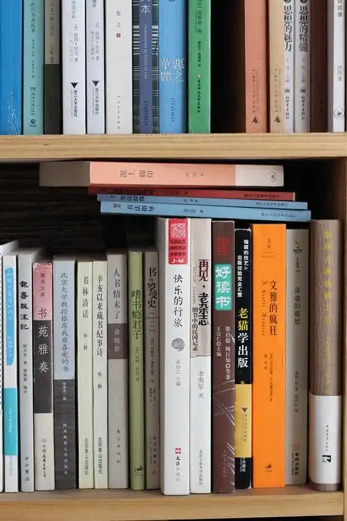 书架上和书有关的书