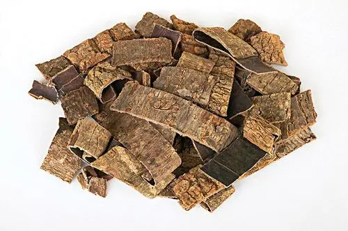 macroceras树的树皮,它具有强大的提高性功能的效果,俗称壮阳药