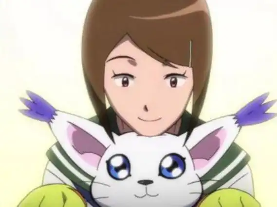 「数码宝贝」回顾下动画里八神光和她的拍档迪路兽的各种进化