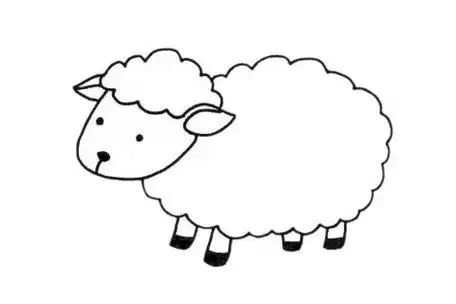 画羊简笔画儿童画羊简笔画