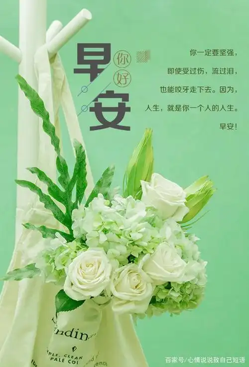 朋友圈早安正能量短句,美好的每一天早安图片,让人如沐春风!