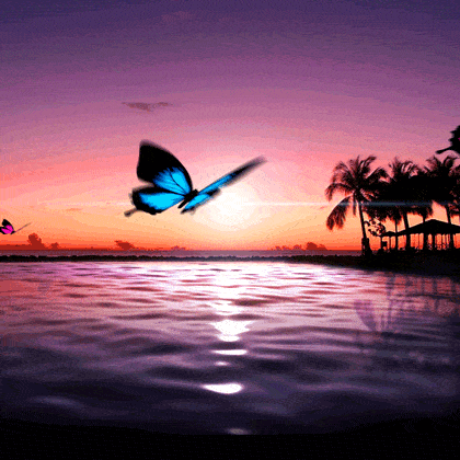 420_420gif 动态图 动图