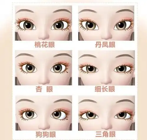 女生眼型的分类图解,女生眼型的种类