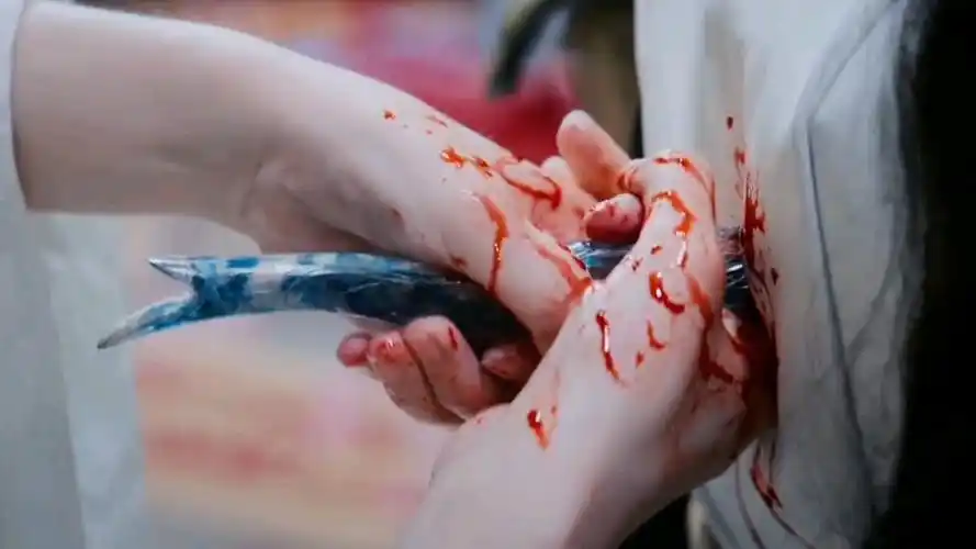 "我本无心,是你给了我一颗心,如今,你却在我的心上捅了一把刀"