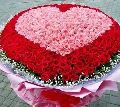 玫瑰数目(玫瑰花各别花样 数目代办的含义各别呢) 第21张