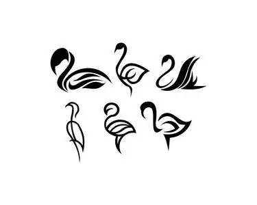 鹅天鹅鸟动物剪影集照片