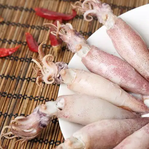 新鲜海鲜 熟冻鱿鱼仔糕鱿筒 冷冻食品满籽羔鱿 批发图片