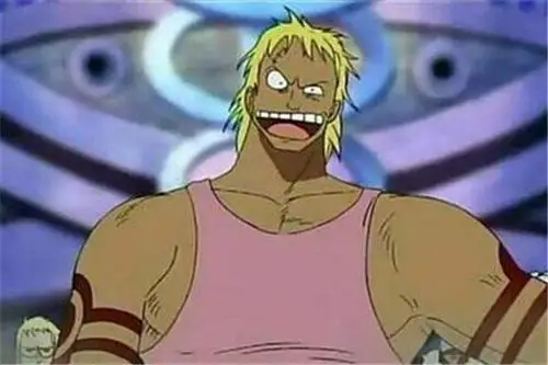 海贼王:路飞第二个恶魔果实能力大猜想,早在很久以前就吃了!