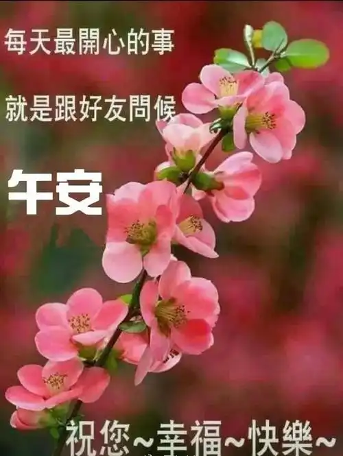 上午好问候语动态图文字,精品问候温馨图片短句