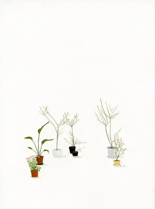 carrie marill 清新干净的手绘艺术 自然 简约 清新 水彩 手绘