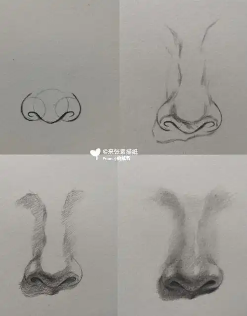 初学者素描画鼻子初学者素描画鼻子的步骤图