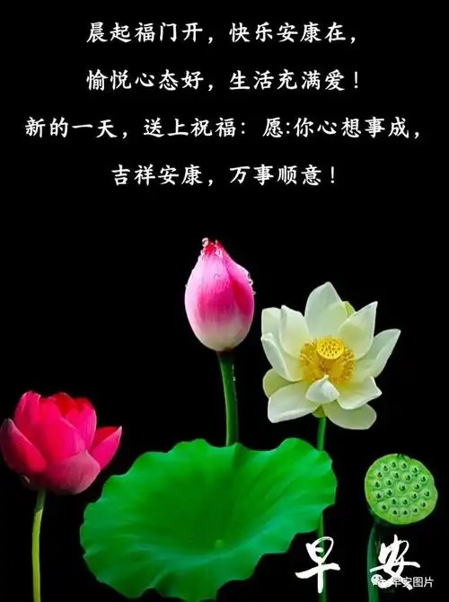 9月18日早安漂亮图片问候祝福语暖心好看的早上好祝福语图片问候语