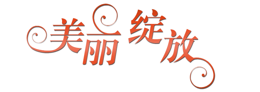 美丽字体设计图片大全