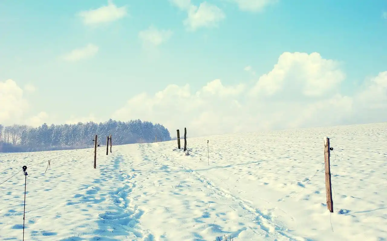 冬季唯美白色雪景摄影图片宽屏壁纸