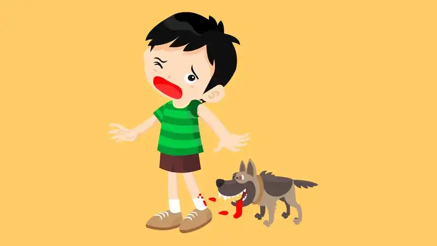 宠物咬伤的应急处理