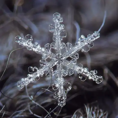 真实雪花照片 photo:alexey kljatov_高清图集_新浪网