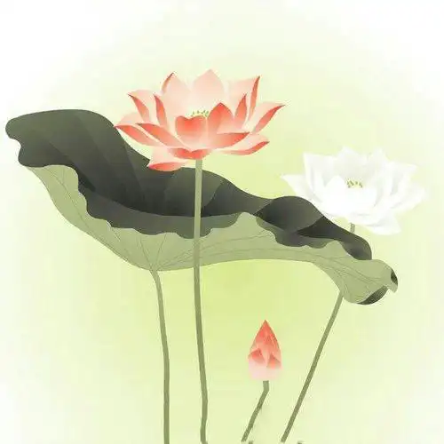 佛系禅意头像,高清超有意境的净化心灵禅意唯美头像图片_意境头像